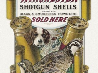 940 WIN - Dog & Quail