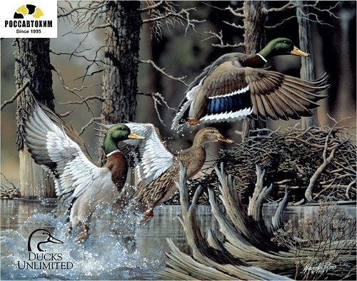 1204 DU - Beaver Pond картинка металл.оригинал