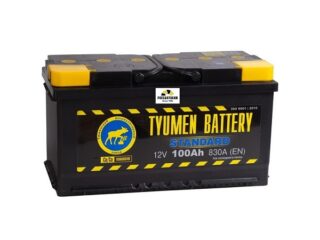 АКБ ТЮМЕНЬ Standart 100 Ач п/п 6СТ-100L