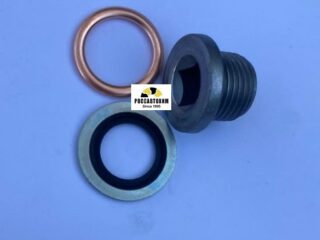 220100S Пробка поддона