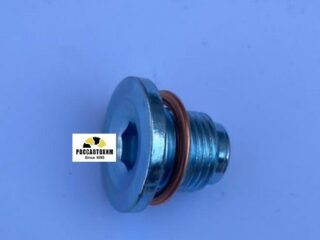 220135S Пробка поддона