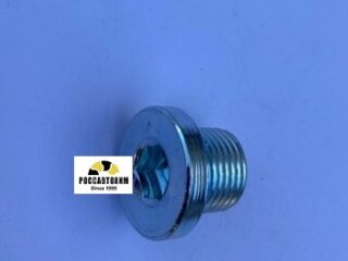 257.819.001 Пробка поддона