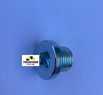 257.819.001 Пробка поддона