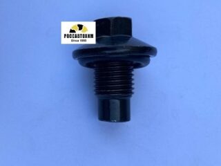 256.850.001 Пробка поддона