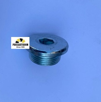 257.805.001 Пробка поддона