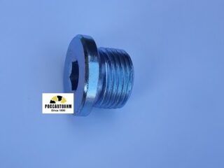 257.814.001 Пробка поддона