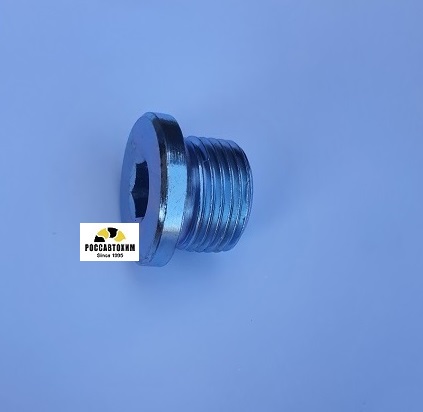 257.814.001 Пробка поддона