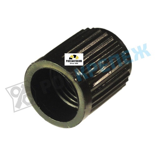 Колпачок камеры (пластик) 45304