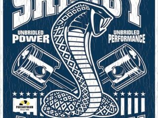 2372 Shelby - Unbridled