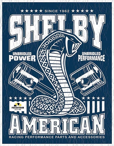 2372 Shelby - Unbridled