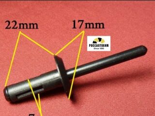 0101 Автокрепеж для Ford. 6mm