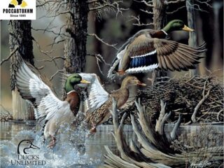 1204 DU - Beaver Pond картинка металл.оригинал