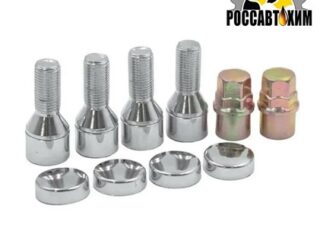 Болты секретные 14 х 1,50 х 28 хром конус вращ. кольцо хром пластик. колпачок 2 ключа 4 шт. Вектор 374110X2