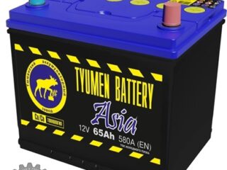 АКБ ТЮМЕНЬ Азия 65 Ач о/п 6СТ-65L